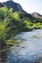 Photo of Piru Creek